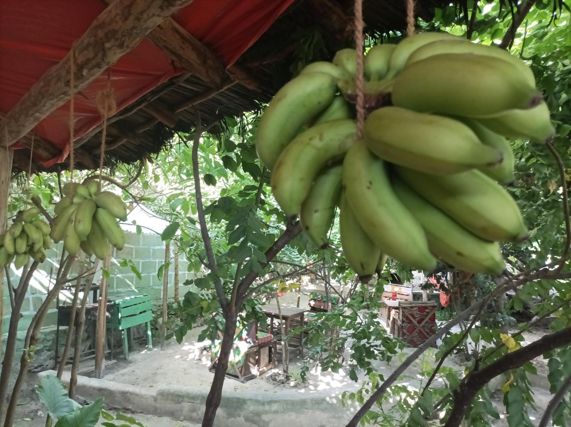 Mamarasta Bed & Breakfast Bwejuu Exterior foto